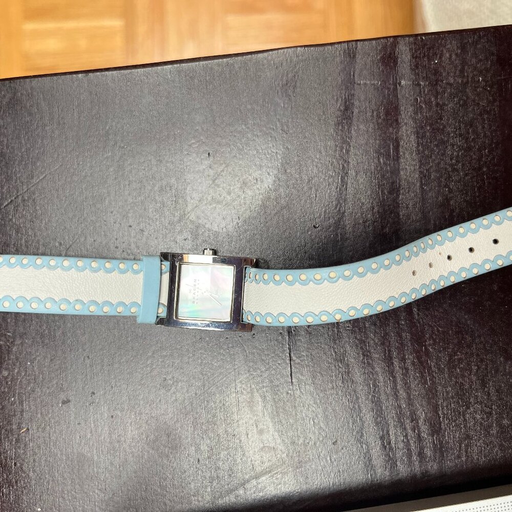Skagen Watch